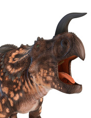 einiosaurus crying close up