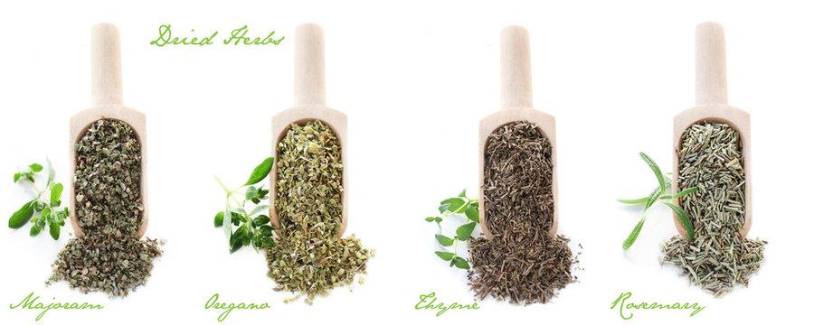 Set of Dried Herbs