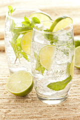 Freshly Made Mojito