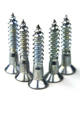 Silver screws