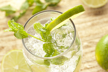 Freshly Made Mojito