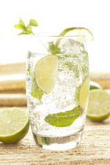 Freshly Made Mojito