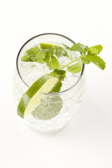 Freshly Made Mojito