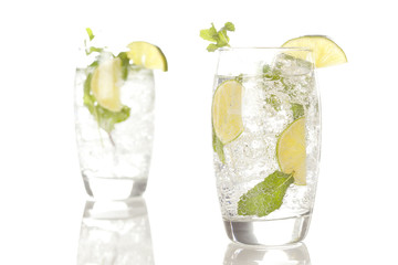 Freshly Made Mojito