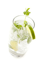 Freshly Made Mojito