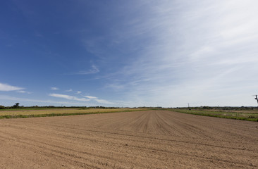 Fototapeta premium Plowed field in France