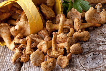 chanterelles in basket on wood background