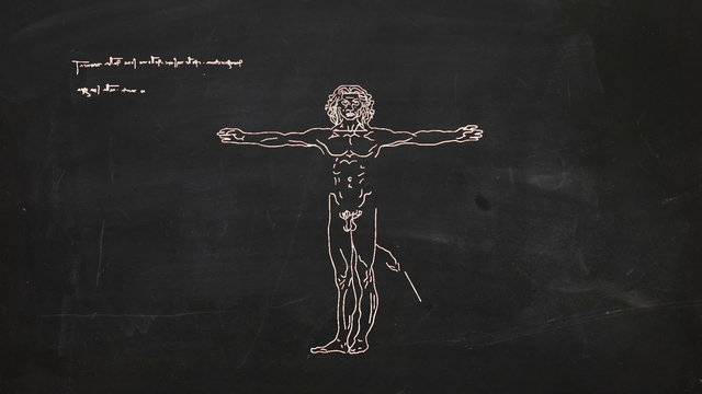 This animation is inspired by Leonardo Da Vinci's The Vitruvian