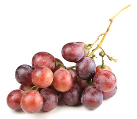 Red Grape