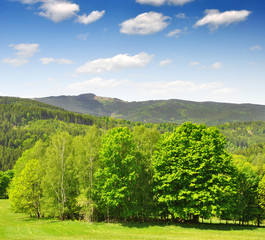 Spring landscape in the national park Sumava - Czech Republic