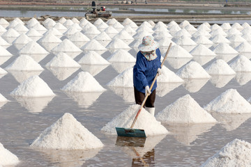 saline in samut sakorn, thailand
