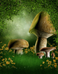 Fototapeta na wymiar Baśniowa polana z grzybami