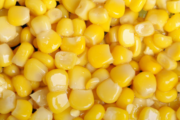 Corn seeds