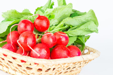 Fresh radishes with tops
