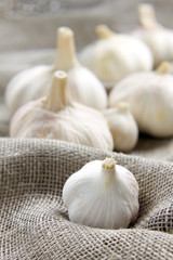 Garlic