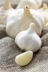 Garlic