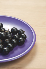 Black currant