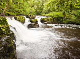 Beautiful woodland stream and waterfall in Summer