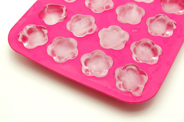 Ice Cube Tray on White Background