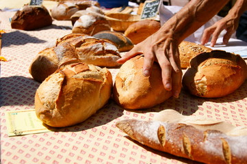 Pain du Marché .5
