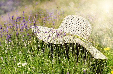 Summer hat over lavender flowers