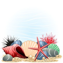 Conchiglie Stella Marina e Corallo-Seashells, Starfish and Coral © BluedarkArt