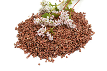 buckwheat seeds and flowers