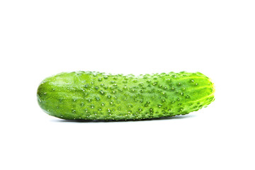 Cucumber