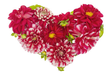 Bloody floral heart concept