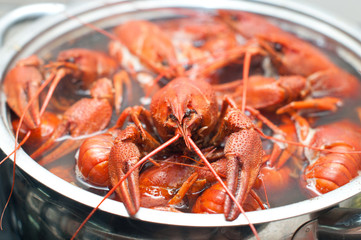 crawfish boiling in a large pot