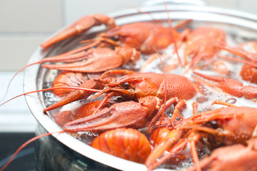 crawfish cooking in a large pot