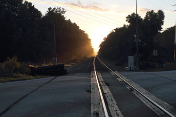 Tracks at dawn