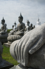 The Buddha Statue hand