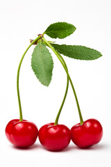 Sweet cherry
