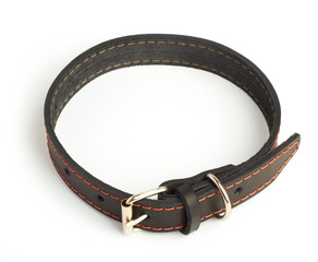 dogs collar