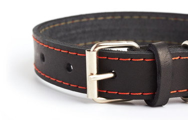 dogs collar