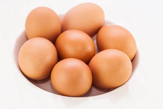 Chicken brown egg isolate background