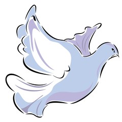 Taube Frieden Hochzeit Liebe