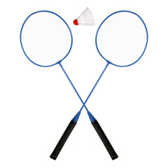 Badminton racket and shuttlecock - obrazy, fototapety, plakaty