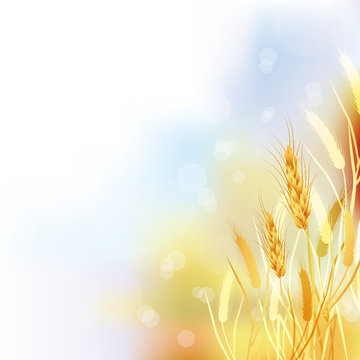 crop background