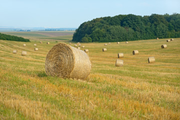 Straw bales with blue cloudy sky