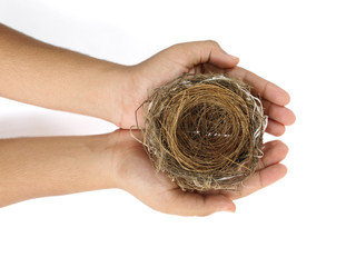 nest on the hand