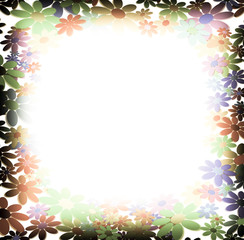 cornice fiori bianco