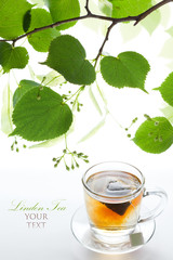 Linden tea bag in a glass cup and twig lime frame