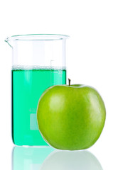 Genetically modified organism