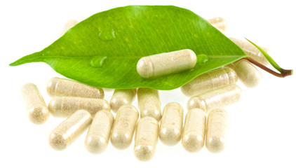 médecine douce, traitement par les plantes