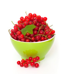 red currant in a bowl