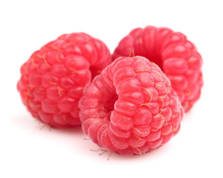 Fresh raspberry in closeup