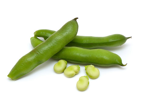 broad bean close up