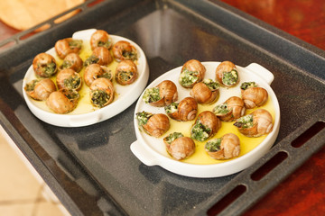 bourguignonne snail